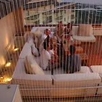 מלון דירות Goldcity 2 Chambres, Vue Sur Mer, Aquapark Non Inclus אלאניה